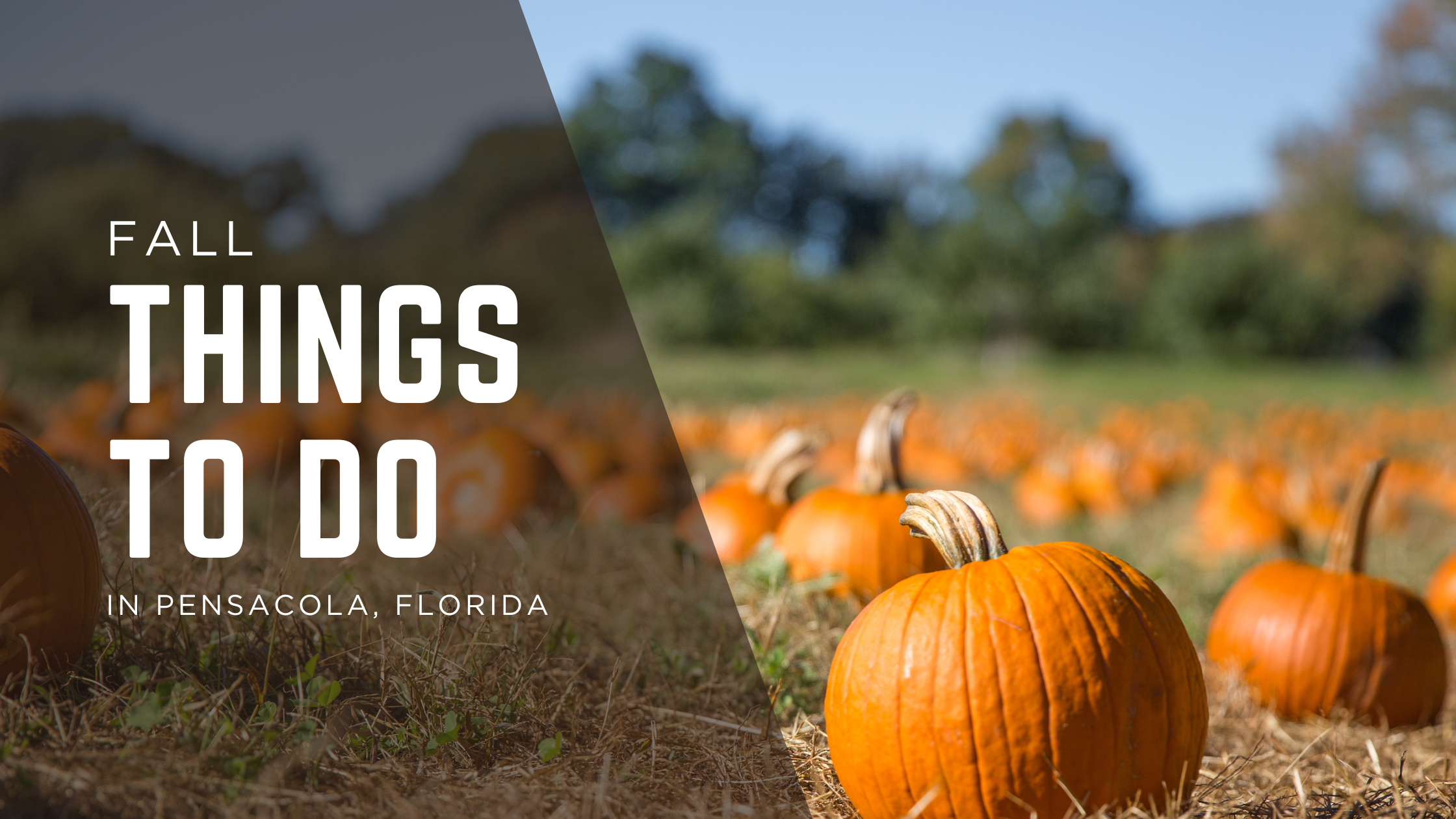 Fall Things to do in Milton & Pensacola: Your Guide to Local Fun